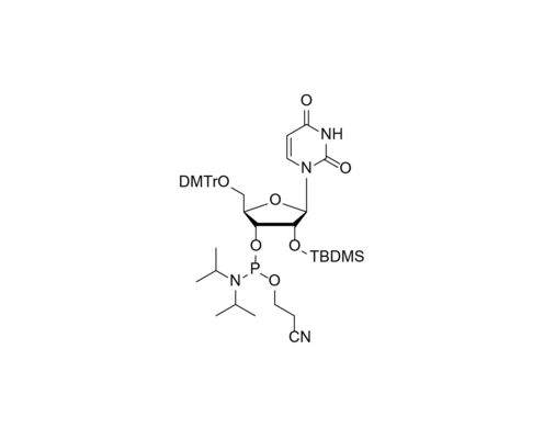 DMTr-2'-O-TBDMS-rU-3'-CE -Phosphoramidite