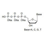 dNTP Mix（10mM each）Sodium Solution