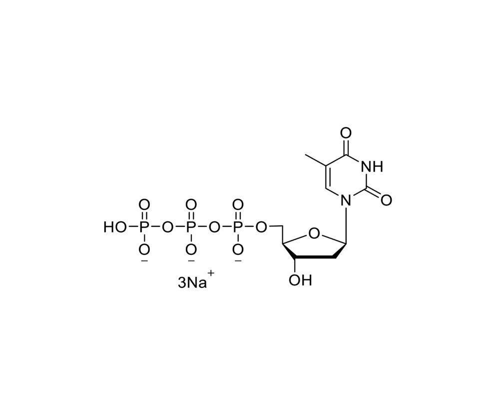 dTTP 100mM Sodium Solution CAS 27821-54-1