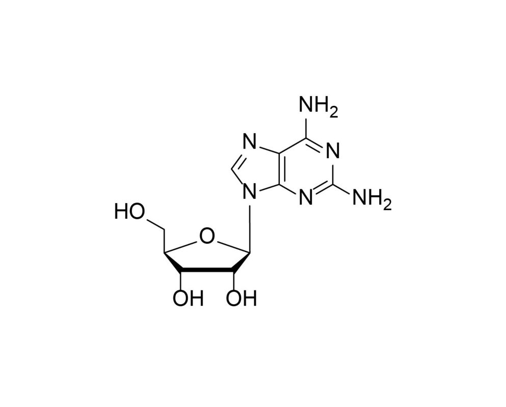 2-NH₂-rA Amino Modified Nucleosides 2096-10-8